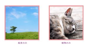 ペアーズNG写真：風景のみ・動物のみ
